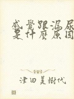 感觉跟漏尿一样是什么原因