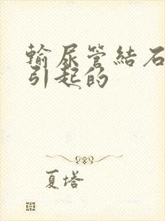 输尿管结石原因引起的