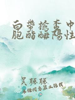 白带检查中白细胞酯酶阳性