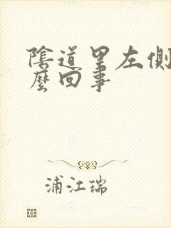 阴道里左侧疼怎么回事