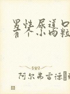 男性尿道口下方有个小肉粒