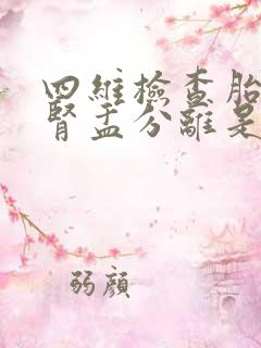 四维检查胎儿双肾盂分离是什么意思