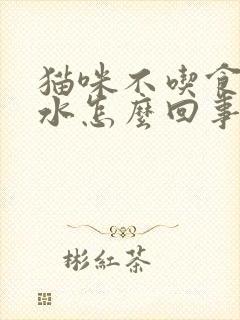 猫咪不吃食只喝水怎么回事