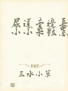 尿道旁边长了个小小米粒怎么回事