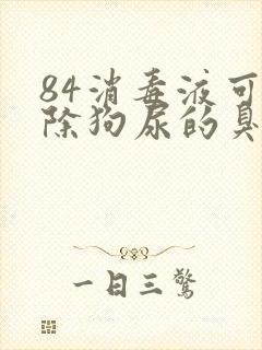 84消毒液可以除狗尿的臭味吗