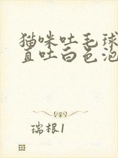 猫咪吐毛球后一直吐白色泡沫