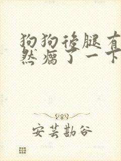 狗狗后腿有时突然瘸了一下