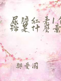 尿胆红素1个加号是什么意思