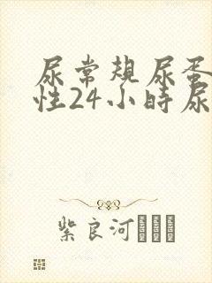 尿常规尿蛋白阴性24小时尿蛋白超标