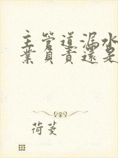 主管道漏水是物业负责还是业主