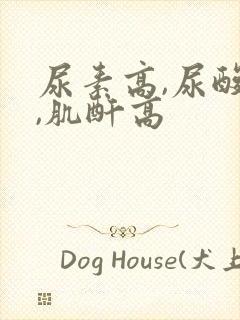 尿素高,尿酸高,肌酐高