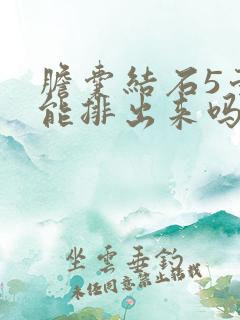 胆囊结石5毫米能排出来吗