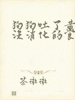 狗狗吐了黄水和没消化的食物