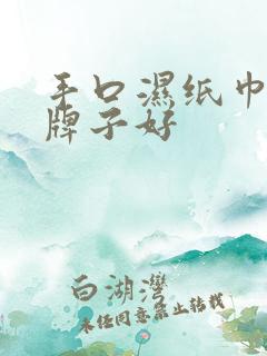 手口湿纸巾哪个牌子好