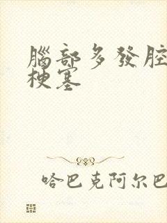 脑部多发腔隙性梗塞