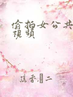 偷拍女公共厕所视频