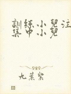 训练小儿注意不集中小儿