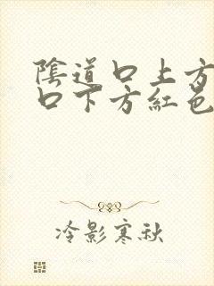 阴道口上方尿道口下方红色肉芽肉粒