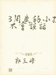 3周岁的小孩还不会说话