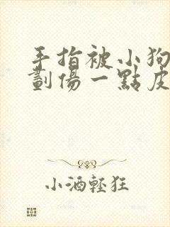 手指被小狗牙齿划伤一点皮出血有事吗