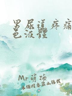 男尿道疼痛流白色液体