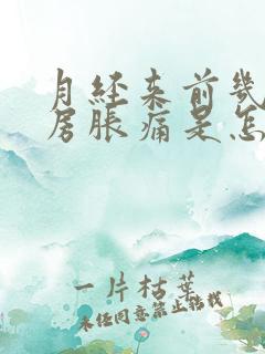 月经来前几天乳房胀痛是怎么回事