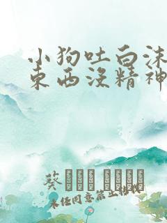 小狗吐白沫不吃东西没精神怎么办