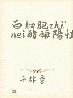白细胞zhi'nei酯酶阳性