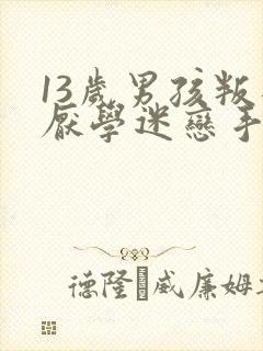 13岁男孩叛逆厌学迷恋手机怎么办?