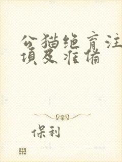 公猫绝育注意事项及准备