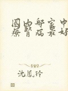 国内哪家中医治疗肾病最好的医院