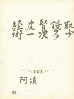 经皮肾镜取石手术一次多少钱