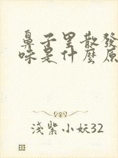 鼻子里散发出臭味是什么原因