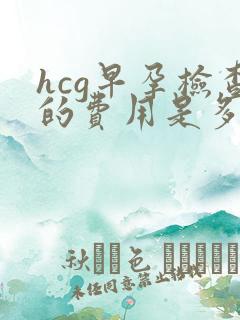 hcg早孕检查的费用是多少