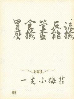 胃食管反流做什么检查能检查出来