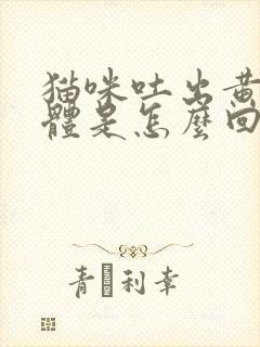 猫咪吐出黄色液体是怎么回事