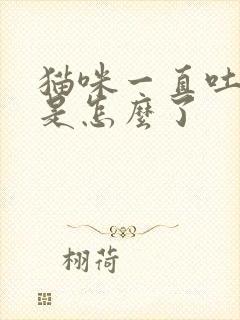 猫咪一直吐黄水是怎么了