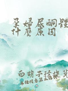 孕妇尿酮体2 什么原因