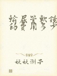 输尿管软镜取石的费用多少