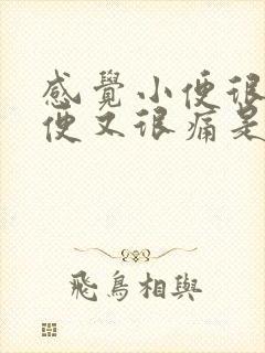 感觉小便很胀小便又很痛是何原因