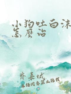 小狗吐白沫拉血怎么治