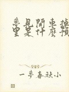 梦见开车掉进水里是什么预兆