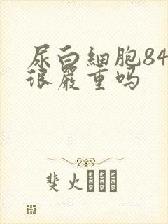 尿白细胞84是很严重吗