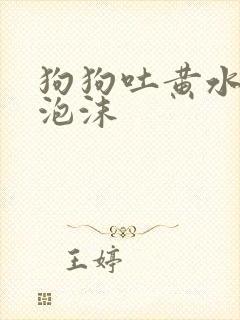 狗狗吐黄水,带泡沫