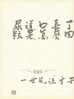 尿道口长了小颗粒是怎么回事