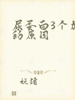 尿蛋白3个加号的原因