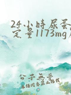 24小时尿蛋白定量1173mg严不严重