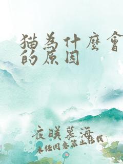 猫为什么会闭尿的原因