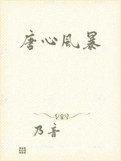 唐心风暴