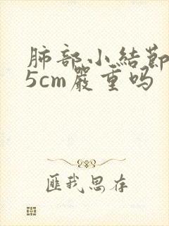 肺部小结节0.5cm严重吗